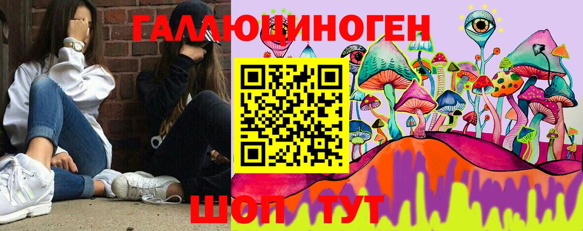 Галлюциногенные грибы Psilocybine cubensis  Вход с VPN  Набережные Челны 